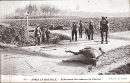 Après La Bataille - Enlèvement Des Cadavres De Chevaux - Guerre 1914-18