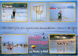 Côte Atlantique - La Pêche à Pied - Editions JACK N° 6836 - Pêche