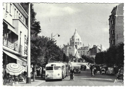 14  Lisieux - Avenue De La Basilique - Lisieux