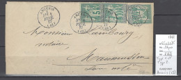 France - Lettre Ancenis - 1877 - Affranchissement Sage - Type 1 Et Type 2 - 1877-1920: Semi Modern Period