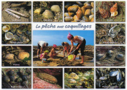 La Pêche Aux COQUILLAGES. Huîtres, Moules, Bulots, Donaces, Praires, Coques, Palourdes - Editions JACK N° 639 - Pesci E Crostacei