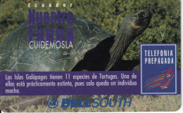 TARJETA DE ECUADOR DE UNA TORTUGA DE LAS GALAPAGOS (TURTLE) CADUCA NOVIEMBRE 2000 - Equateur