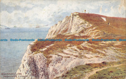 R160814 Highdown Cliffs. Freshwater I. Of Wight. Salmon - World