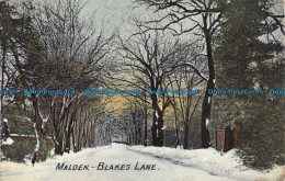 R159959 Madlen. Blakes Lane. Hutchinson. 1907 - World