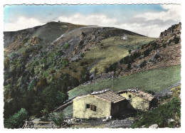 68  Vallee De Munster - Fermes A Schiessrot Avec Vue Vue Sur Le Hohneck - Munster