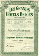 Les GRANDS HÔTELS BELGES - Palace Hôtel - Tourismus