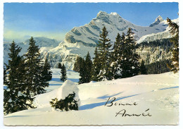 BONNE ANNÉE - Montagne - Paysage Enneigé - Nouvel An