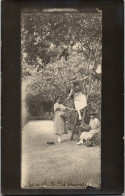 CP Carte Photo D'époque Photographie Vintage Femme Cueillette échelle Arbre  - Zonder Classificatie