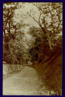 Ref 1656 - 1907 Real Photo Postcard - Rostherne Lane Knutsford Cheshire - Other & Unclassified