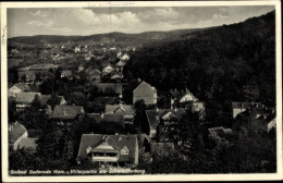 CPA Bad Suderode Quedlinburg Im Harz, Villenpartie Am Schwadderberg - Other & Unclassified