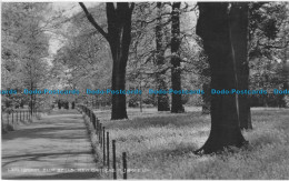 R160921 London. Blue Bells. Kew Gardens. Judges Ltd - Autres & Non Classés