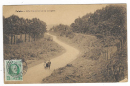 CPA FALAEN, JOLIE VUE PRISE SUR LA MOLIGNEE, ONHAYE, BELGIQUE - Onhaye