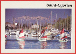 Pyrénées-Orientales ( 66 ) Saint-Cyprien : Port De Plaisance - Carte écrite TBE - Saint Cyprien