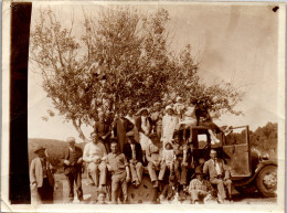 Photographie Photo Vintage Snapshot Amateur Groupe Camionnette Arbre Grimper - Personnes Anonymes