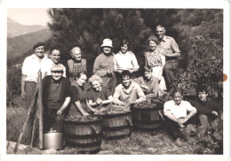 FR66 Arles Sur Tech - Photo Molas 13 * 9 Cm - Les Vendanges - Animée Belle - Bergbau