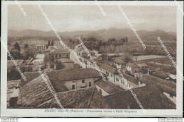 Bg38 Cartolina Abano Terme Panorama Verso I Colli Euganei Padova - Padova