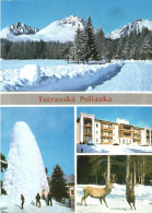 TATRANSKA POLIANKA, MULTIPLE VIEWS, ARCHITECTURE, MOUNTAIN, DEER, SNOW CASTLE, SLOVAKIA, POSTCARD - Slovaquie