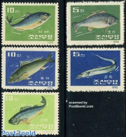 Korea, North 1962 Fish 5v, Mint NH, Nature - Fish - Fishes