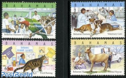 Bahamas 2000 Animal Protection 4v, Mint NH, Nature - Transport - Animals (others & Mixed) - Birds - Cats - Cattle - Do.. - Autos