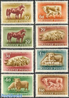 Hungary 1951 Domestic Animals 8v, Mint NH, Nature - Animals (others & Mixed) - Cattle - Horses - Ongebruikt