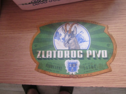 ZLATOROG PIVO - Lasko Brewery ... Slovenia Ex Yugoslavia Old Rare Beer Label (1956) * Bière Cerveza Bier Birra - Bière