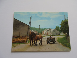 LAICHE SUR SEMOIS Cheval Chevaux Attelage PK CPA Commune Florenville Belgique Carte Postale Post Kaart Postcard - Florenville