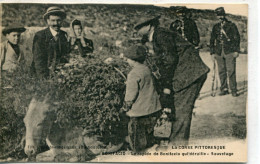 -2A - CORSE- BONIFACIO -Le Rapide De Bonifacio Qui Déraille-sauvetage - Autres & Non Classés