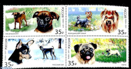 Russia 2019 Dogs 4v [+], Mint NH, Nature - Dogs - Other & Unclassified