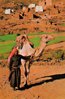 CPM - ARABIE SAOUDITE - A Bedouin And His Camel In Asir Highlands - Edition Basem Said Salah, I.P.A - Saoedi-Arabië