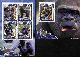 Central Africa 2016 Gorilla's 2 S/s, Mint NH, Nature - Monkeys - Central African Republic