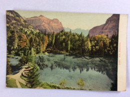 SUISSE : Am Blausee - 1910 - Other & Unclassified