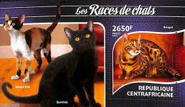 Central Africa 2015 Cats S/s, Mint NH, Nature - Cats - Centrafricaine (République)