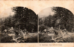 N°3961 W -carte Stéréoscopique -Amérique -dans La Forêt Vierge- - Stereoskopie