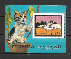 Fujeira 1970 Animals - Cats MS MNH - Domestic Cats