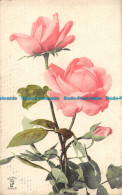 R161088 Old Postcard. Pink Roses. Knight - Monde