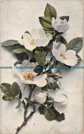 R161093 Old Postcard. Flower Tree. Knight - Monde