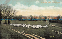 R160257 Gildridge Park. Eastbourne. Valentine. 1906 - Monde