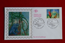 France Parc National Guadeloupe Fdc Volcan Volcano Mountaineering Escalade Alpinisme - Climbing