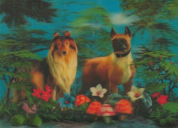 3-D CPA Hunde, Tierportrait, Pilze, Blumen, Windhund - Autres & Non Classés