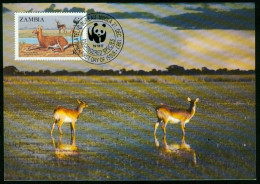 Mk Zambia Maximum Card 1987 MiNr 439 | Endangered Wildlife. WWF. Black Lechwe Resting By Pool #max-0145 - Zambia (1965-...)