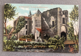 Bloemendaal Ruine Van Brederode Carte Postale Postcard - Bloemendaal