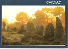 CARNAC : Les Alignements De Menhirs Au Petit Matin - Carnac