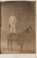 Militaria - Carte Photo - Soldat Militaire Debout Sur Son Cheval - Cavalier - Régiments