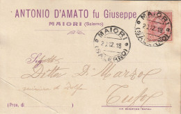Italy. A218. Maiori. 1918. Cartolina Postale PUBBLICITARIA ... ANTONIO D'AMATO.... , Affrancata Con Leoni C.10 - Poststempel