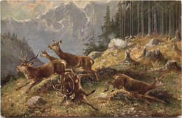 Jagd - Hirsche - Hunting