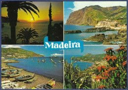 Madeira - As Melhores Vistas Da Madeira - Madeira