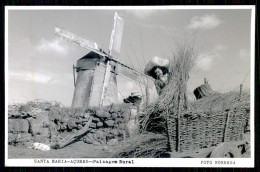 PORTUGAL -AÇORES - SANTA MARIA - MOINHOS - Paisagem Rural. (  Foto Nobrega )carte Postale - Windmühlen