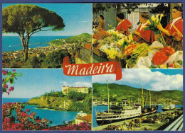 Madeira - As Melhores Vistas Da Madeira - Madeira