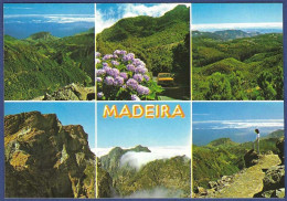 Madeira - Montanhas Do Interior - Madeira