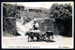 PORTUGAL - AÇORES - SÃO MIGUEL - Attelage De Mouton - Carroça De Carneiro. ( Foto Nobrega )carte Postale - Artigianato